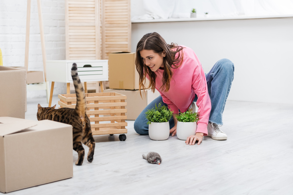Smiling woman looking at bengal cat near plants and packages at home  - Photo, Image