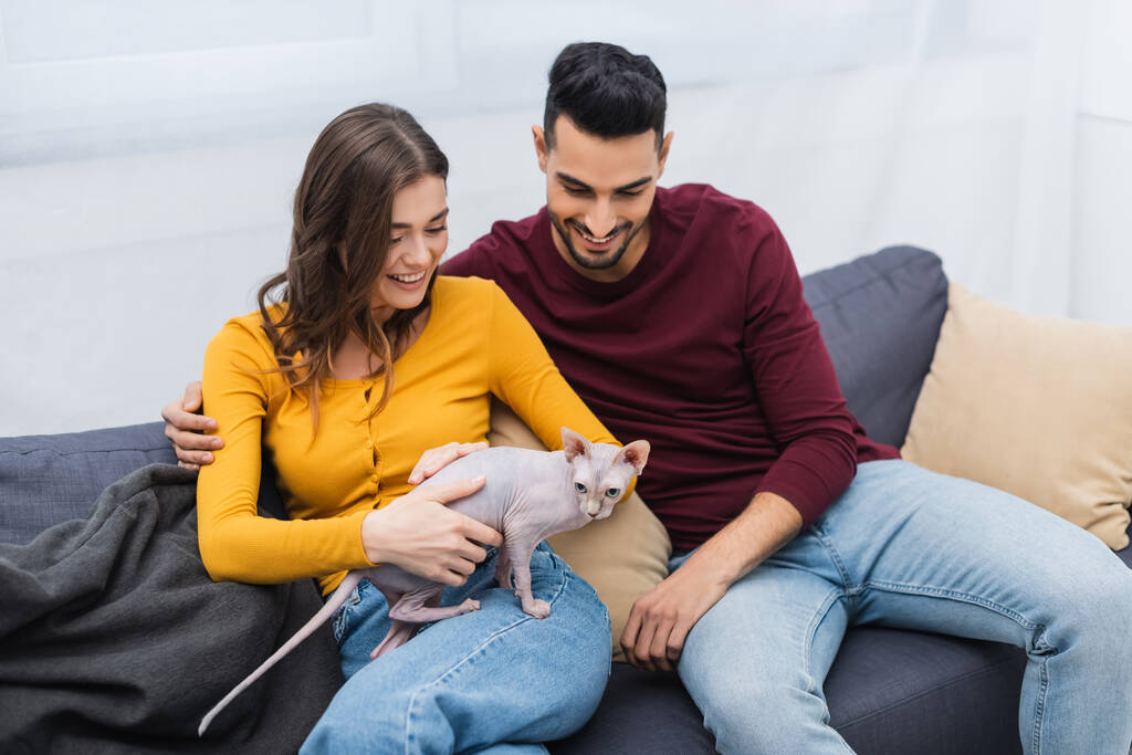 Arabian man hugging smiling girlfriend with sphynx cat at home  - Photo, image