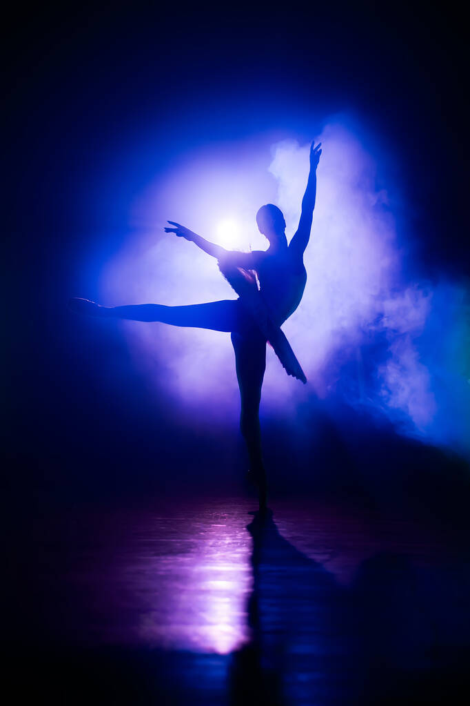 Silhouette de ballerine en studio avec néon violet lumière colorée. Jeune femme dansant en robe tutu classique. Grâces et tendresse dans chaque mouvement. - Photo, image