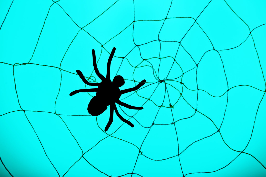 Örümcek web üzerinde. Cadılar Bayramı dekorasyon konsepti - Fotoğraf, Görsel