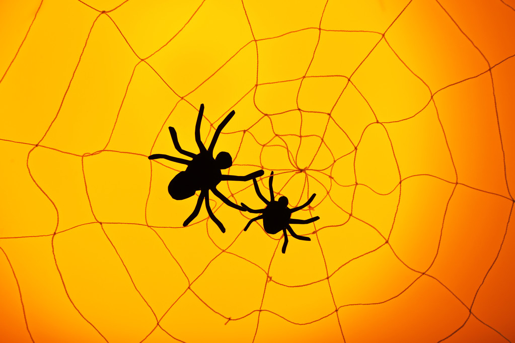 Web 上のクモ。ハロウィーンの装飾の概念 - 写真・画像