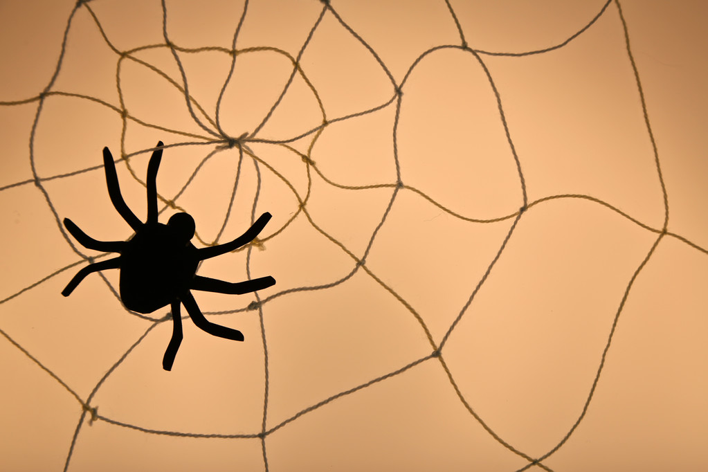 Web 上のクモ。ハロウィーンの装飾の概念 - 写真・画像