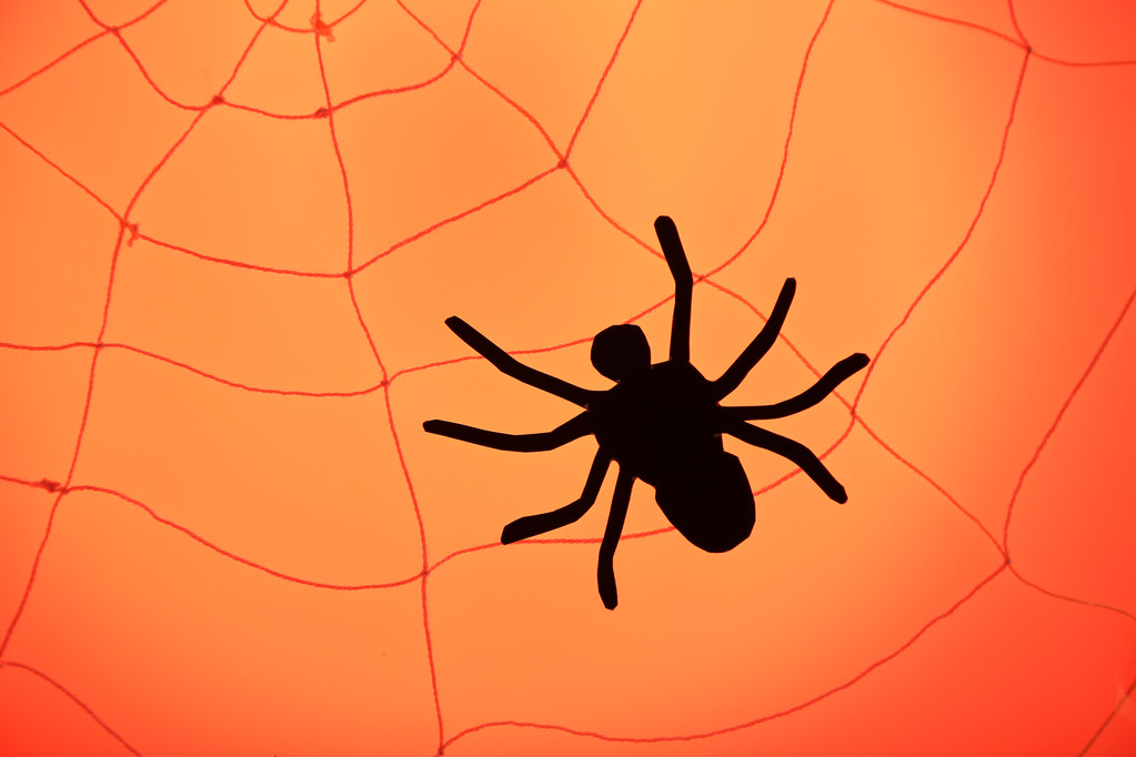Pavouk na webu. Halloween dekorace koncept - Fotografie, Obrázek