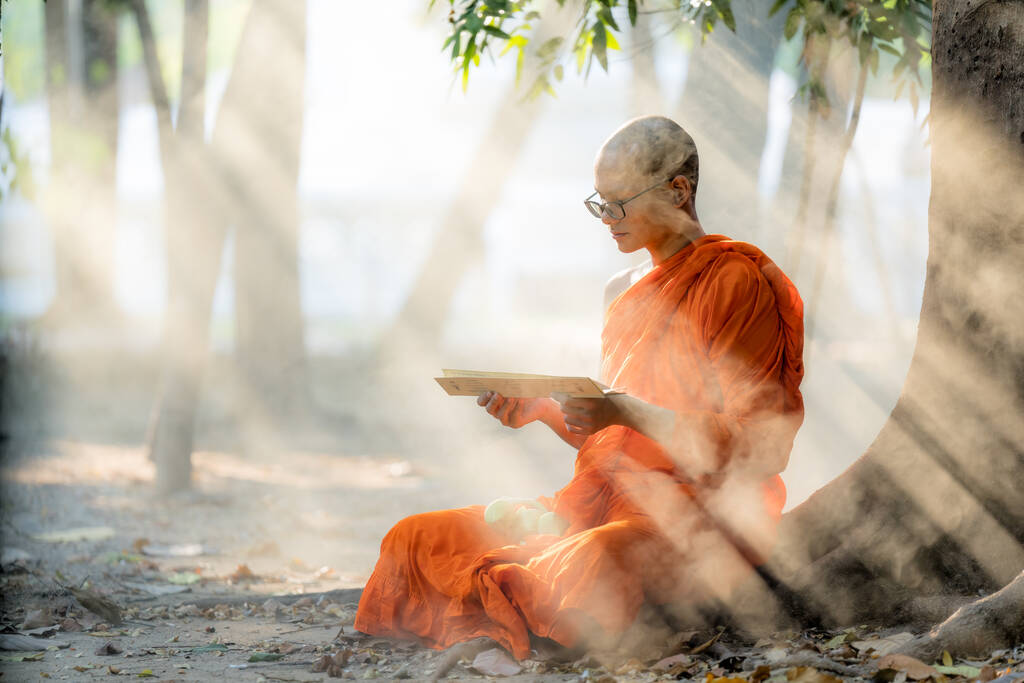 Таїландський або М'янмський або камбоджійський буддійський монах сидить під деревом у буддійському монастирі, читаючи і вивчаючи буддійську книгу. - Фото, зображення