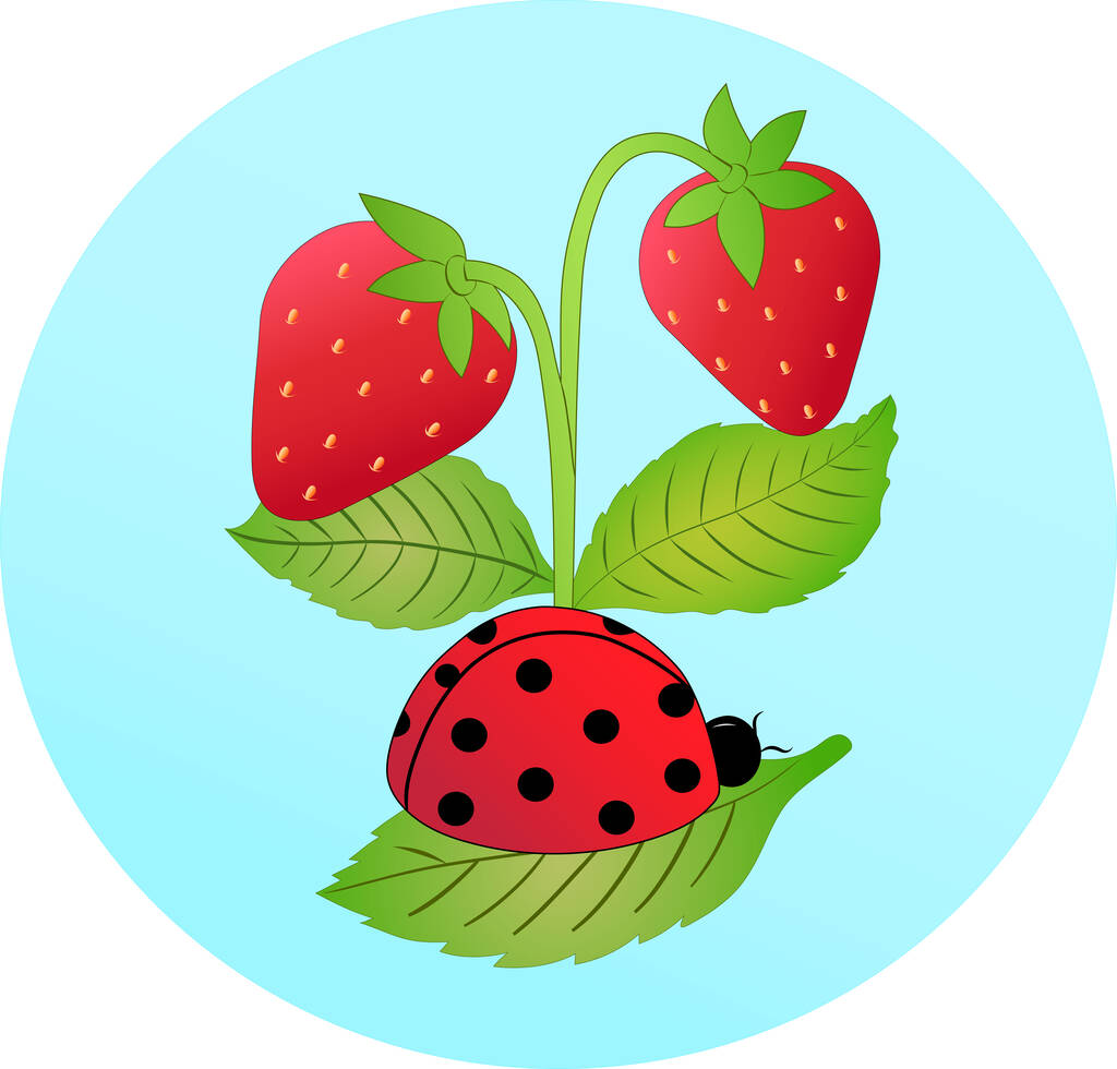 Illustration des Marienkäfers auf Blatt in der Nähe roter Erdbeeren - Vektor, Bild