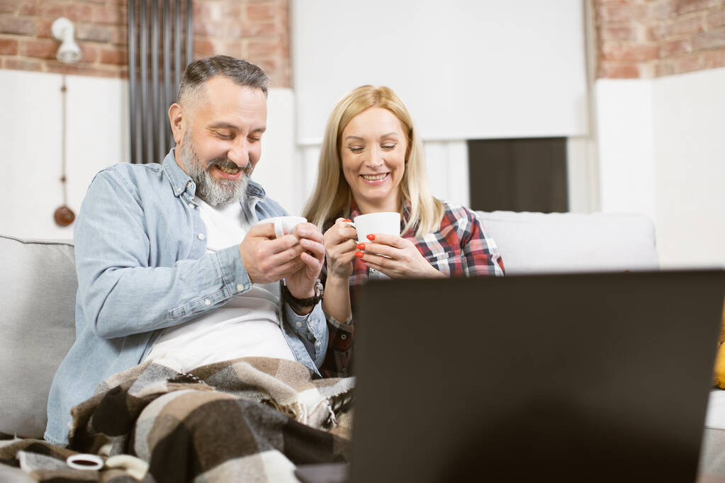 Positive mature couple using laptop during free time at home - Photo, image