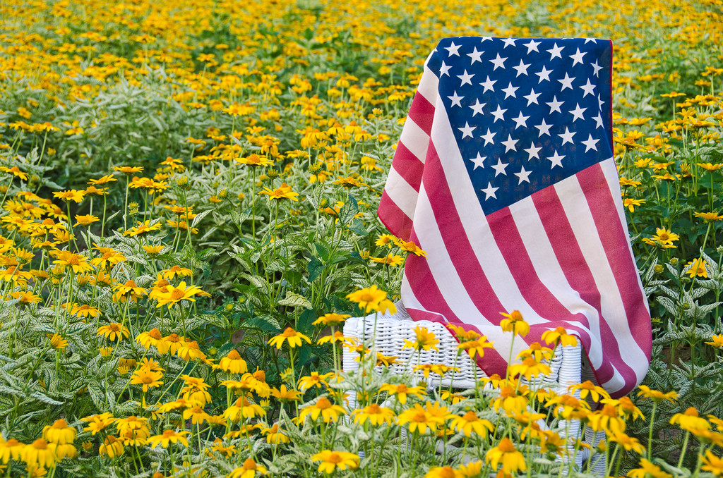 American flag in yellow daisies - Photo, Image