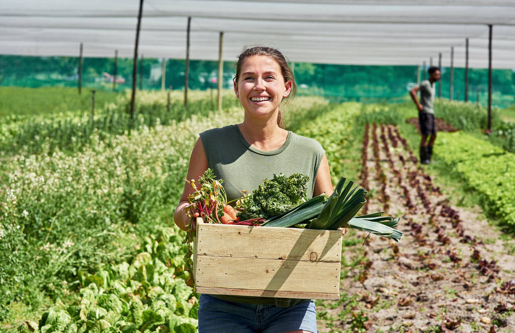 Taze ürünler hemen geliyor. Bir çiftlikte içi sebze dolu bir sandık taşıyan çekici genç bir kadının portresi.. - Fotoğraf, Görsel