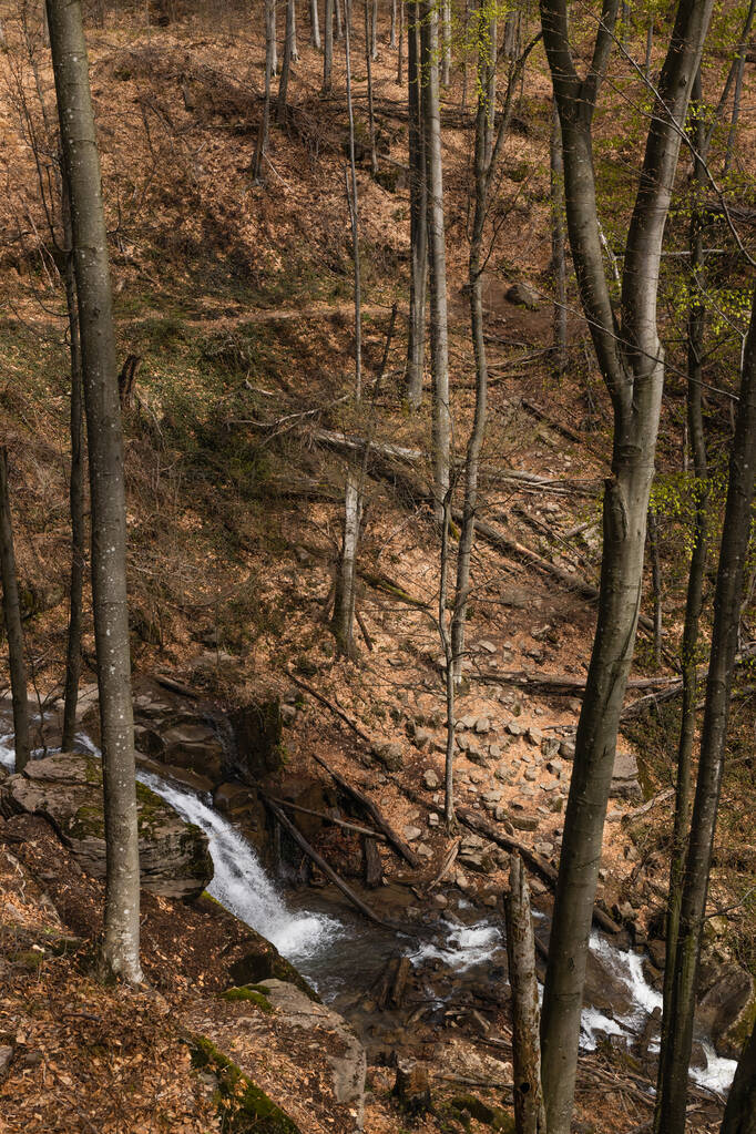 Vista de alto ângulo de riacho de montanha perto de florestas na floresta  - Foto, Imagem