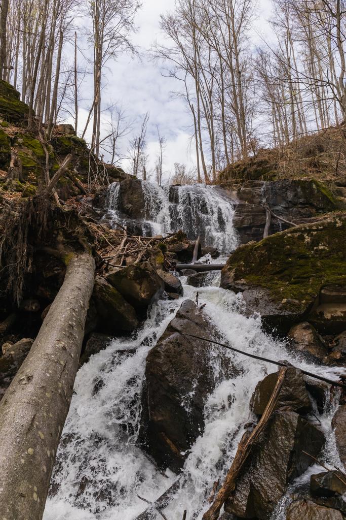 Низький кут огляду дерев'яних колод і каменів у гірській річці
  - Фото, зображення