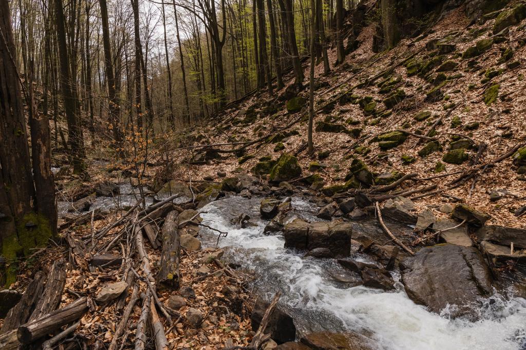 Potok a kameny v horském lese na podzim  - Fotografie, Obrázek