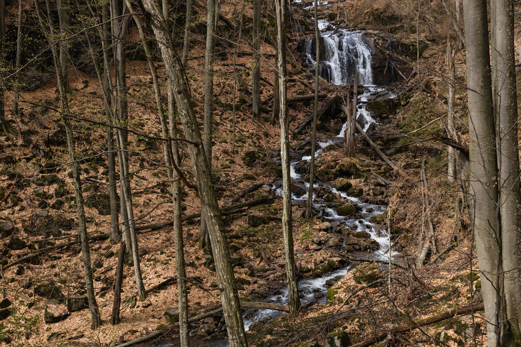 Río de montaña en el bosque con hojas secas en el suelo  - Foto, imagen