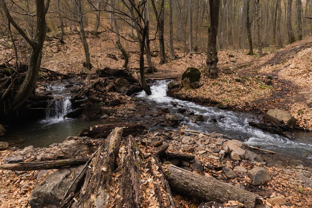 Wooden logs near stones and mountain creek in forest  - Photo, Image