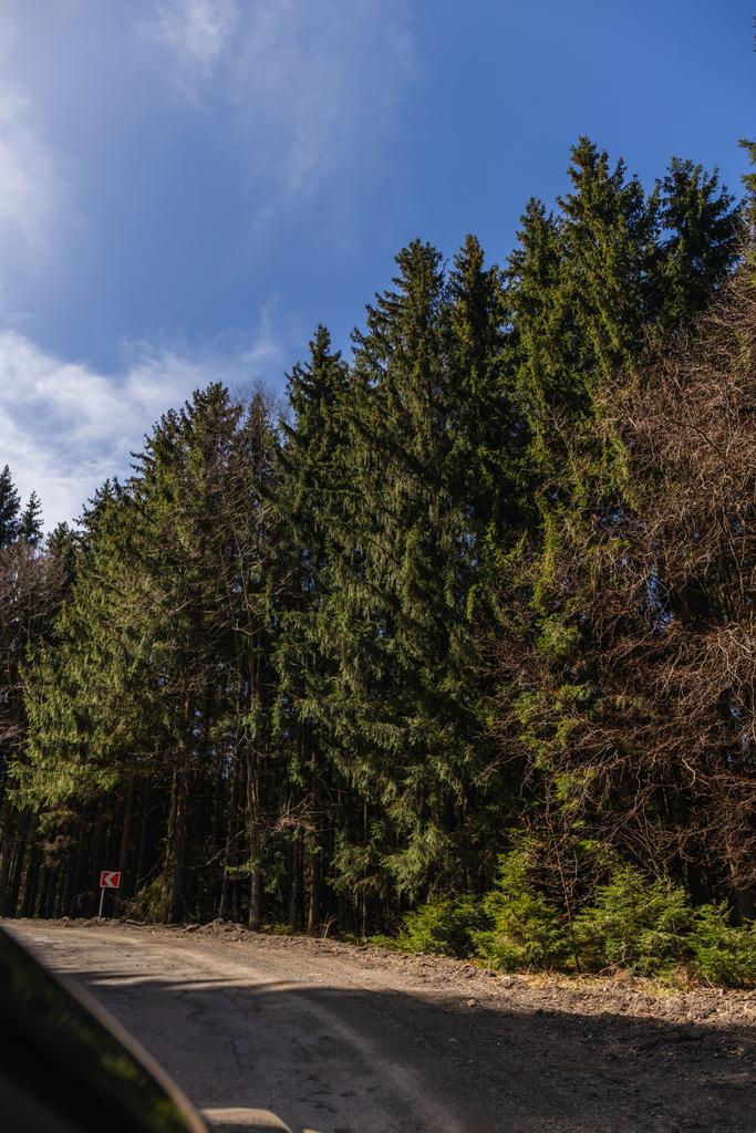 Forêt et route vide avec ciel en arrière-plan  - Photo, image