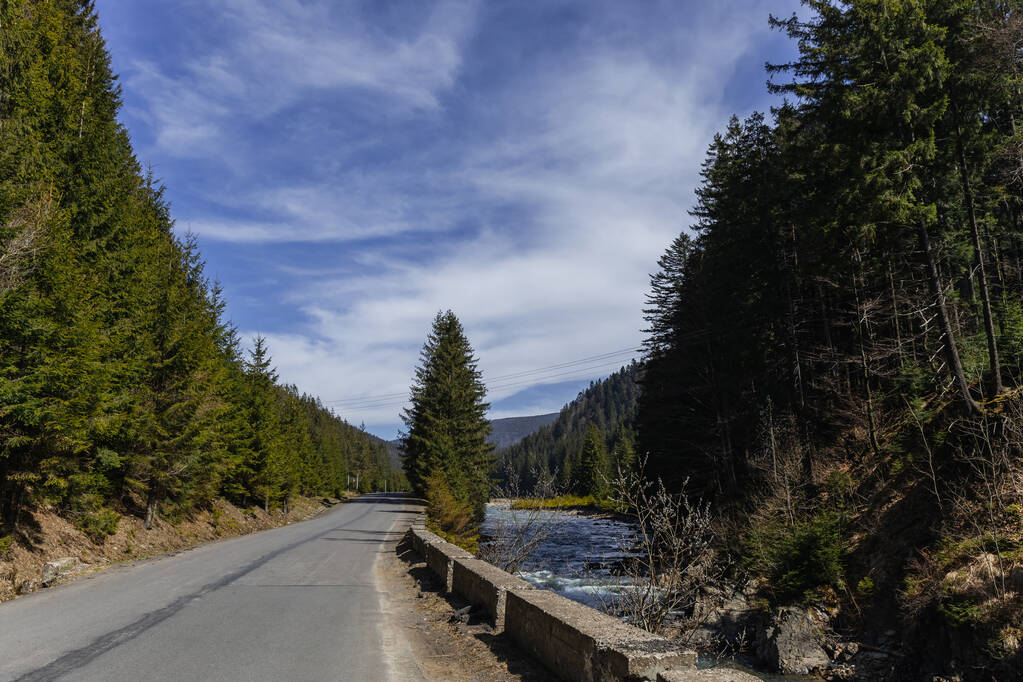 Řeka u prázdné silnice a les v horách  - Fotografie, Obrázek