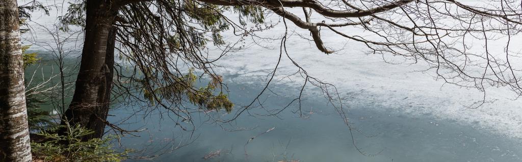 Lago com neve perto de árvores na floresta, bandeira  - Foto, Imagem