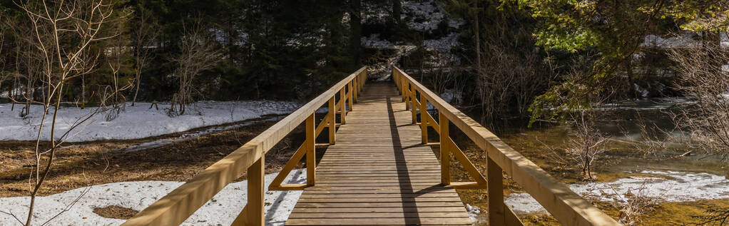 Pont en bois avec lumière du soleil dans la forêt printanière, bannière  - Photo, image