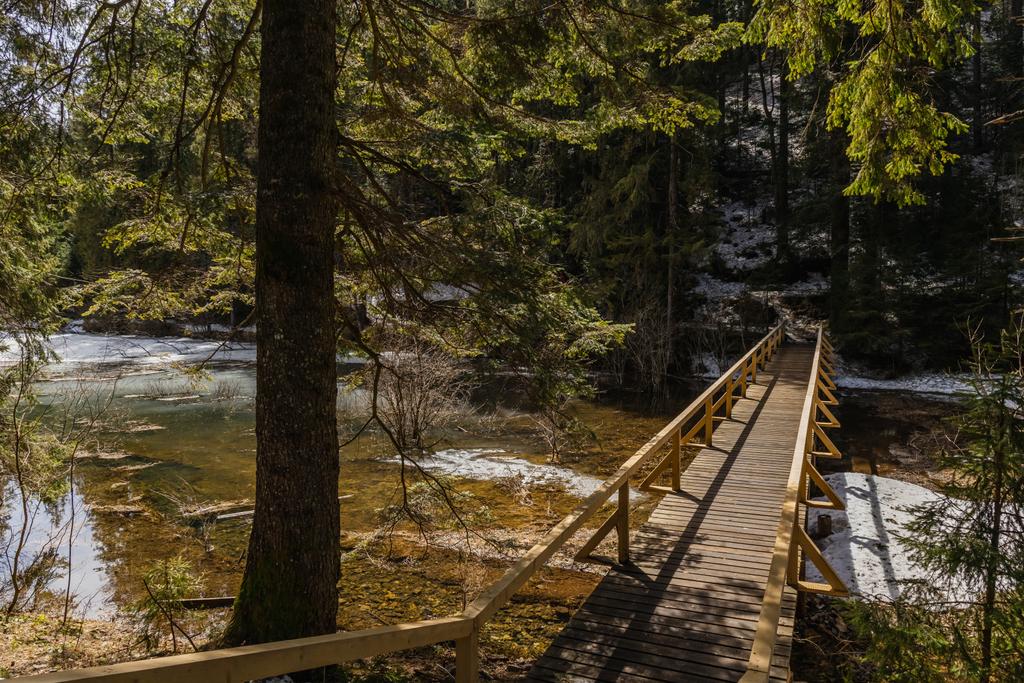 Ponte di legno sopra il lago con ghiaccio nella foresta  - Foto, immagini