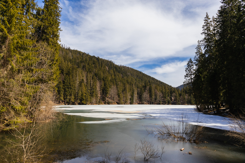 Озеро со снегом и лесом на фоне гор - Фото, изображение