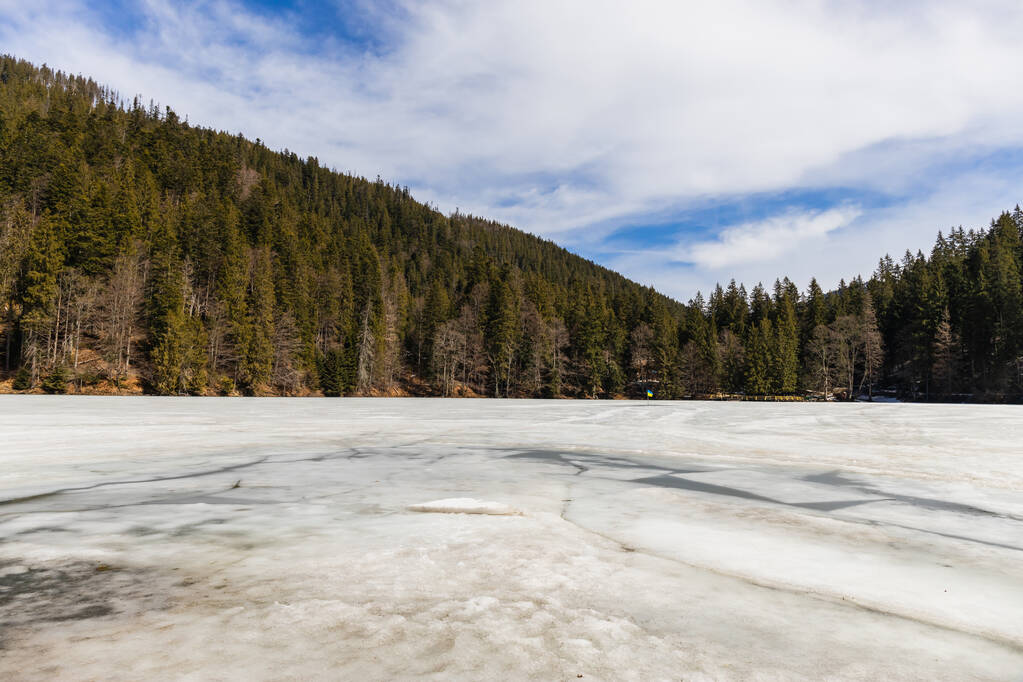 Jezioro z lodem i góry z lasu świerkowego na tle  - Zdjęcie, obraz