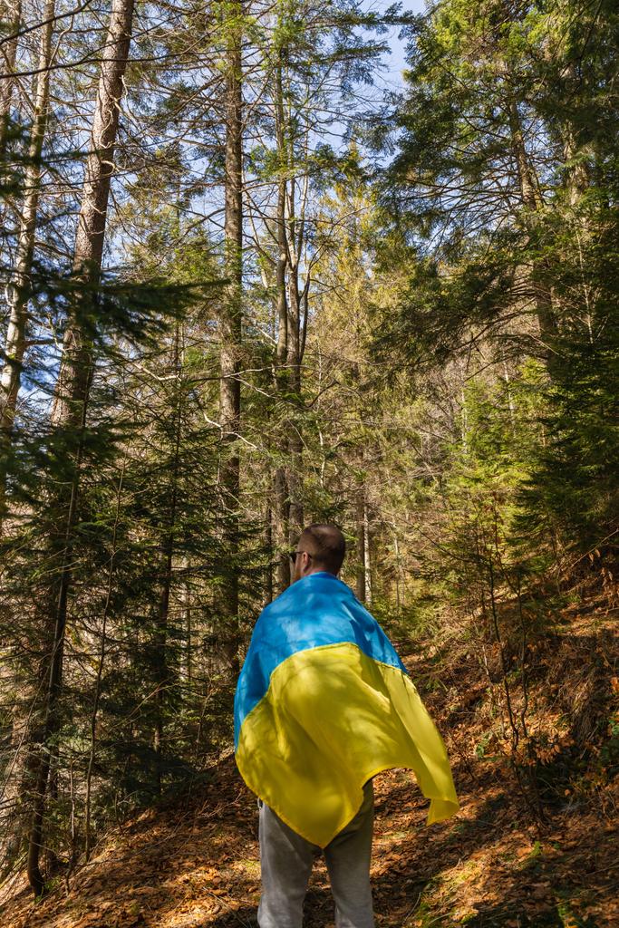 Uomo con bandiera ucraina nella foresta di abete rosso  - Foto, immagini