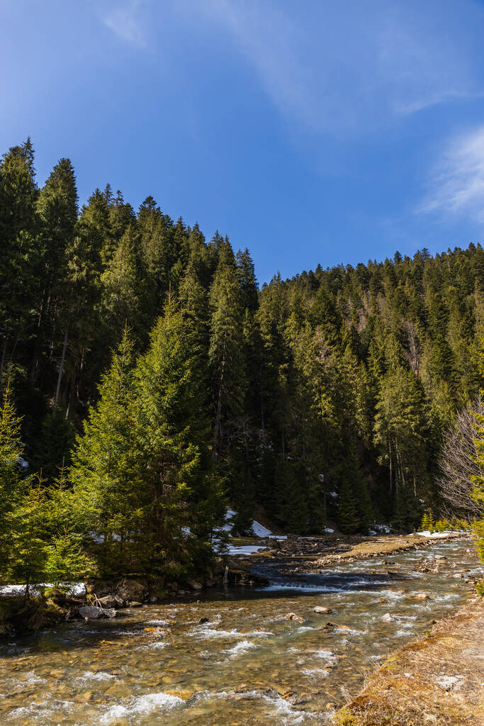 Mountain river and forest with blue sky at background  - Foto, Imagen