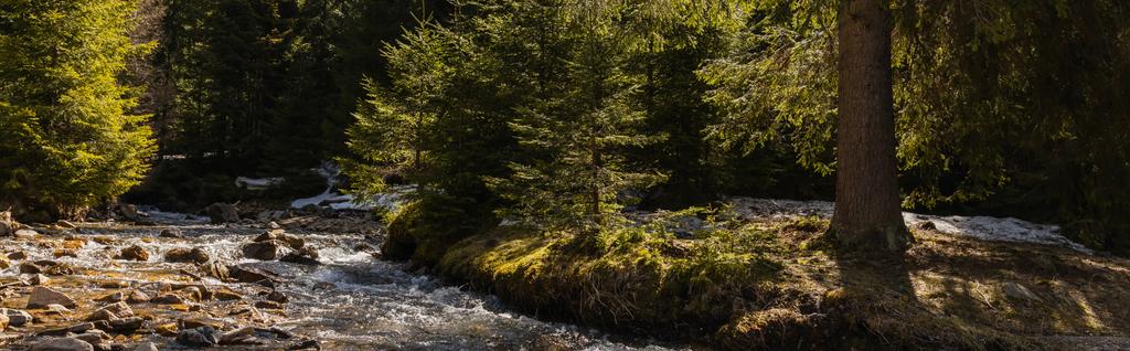 Scenic view of river and coniferous trees on shore with sunlight, banner  - Foto, Imagen