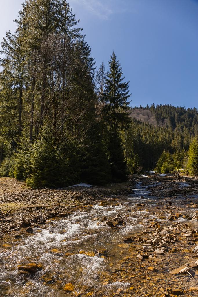 Górska rzeka z kamieniami i drzewami na brzegu z błękitnym niebem na tle  - Zdjęcie, obraz