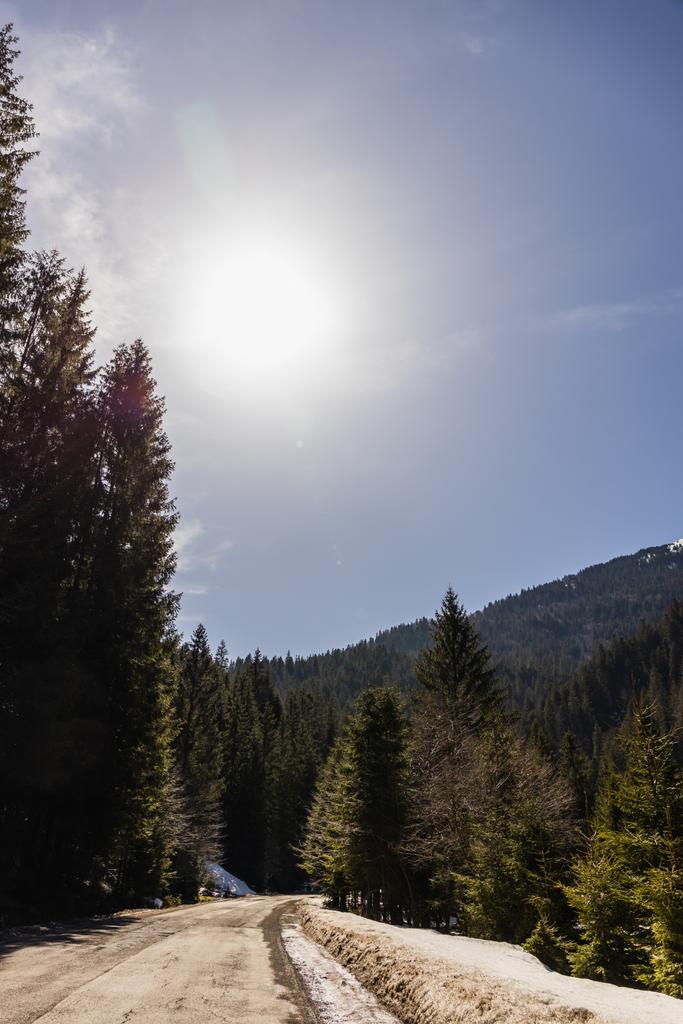 Estrada vazia na floresta de montanha com sol no céu no fundo  - Foto, Imagem