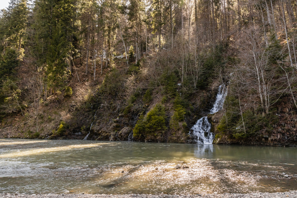 Górska rzeka z potokiem i lasem świerkowym  - Zdjęcie, obraz