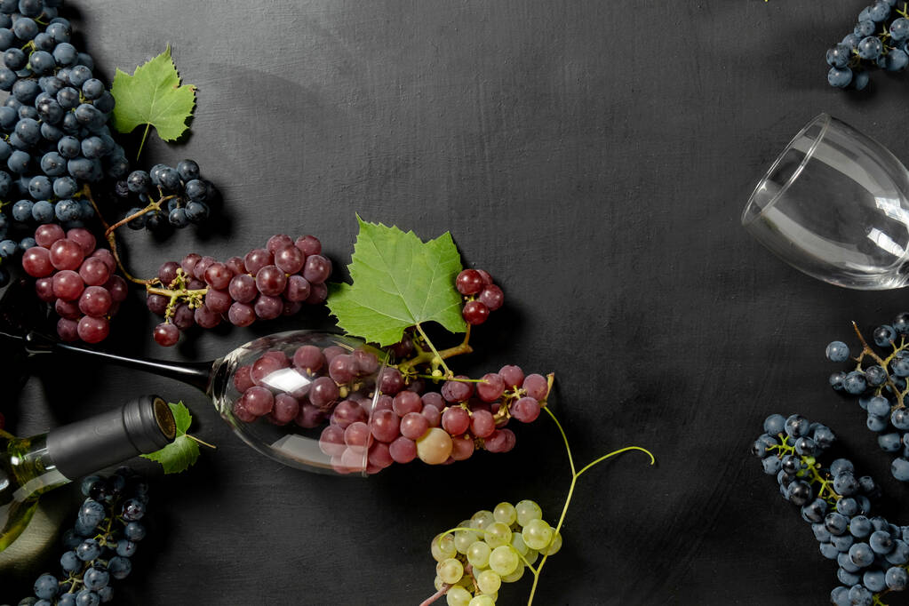 Bottle, two wine glasses, fresh grapes and leaves on black background wall in studio. Flat lay, top view, copy space for advertisement. Wine bar, winery, wine tasting concept - Foto, Bild