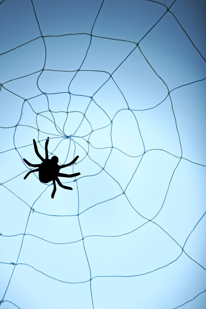 fekete Spider Web - Fotó, kép