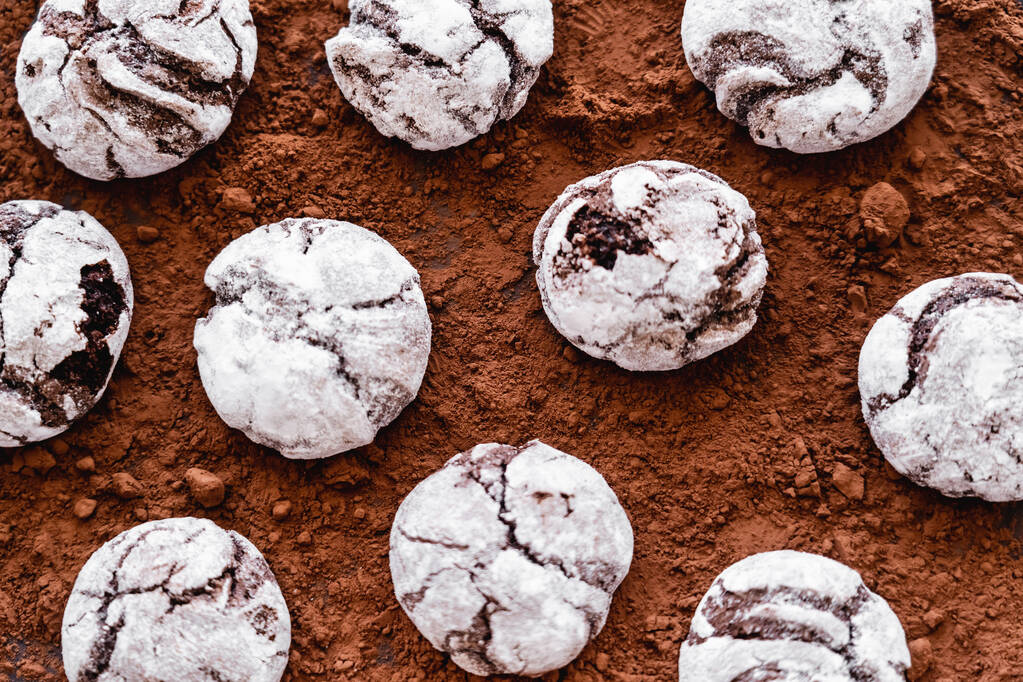 Top view of cookies with powdered sugar on cocoa surface  - Photo, Image