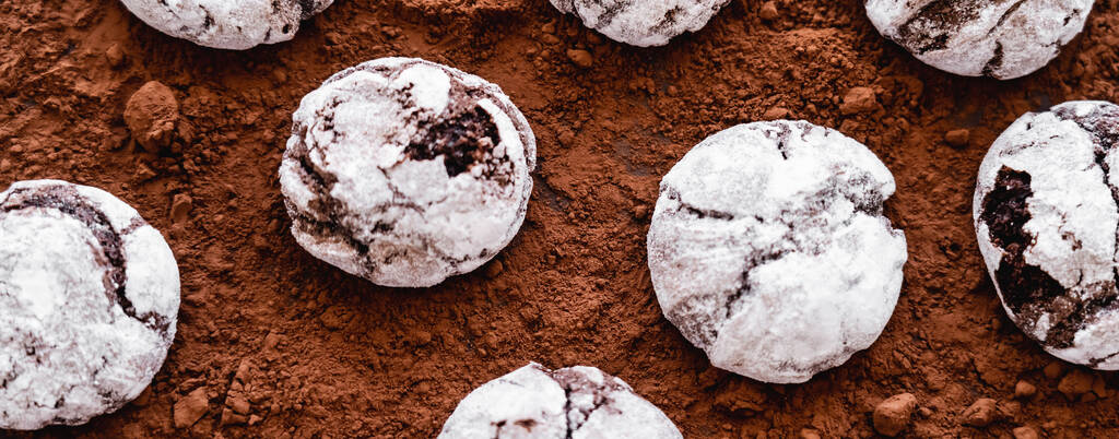 Top view of cookies with powdered sugar on cocoa powder, banner  - Foto, Imagen