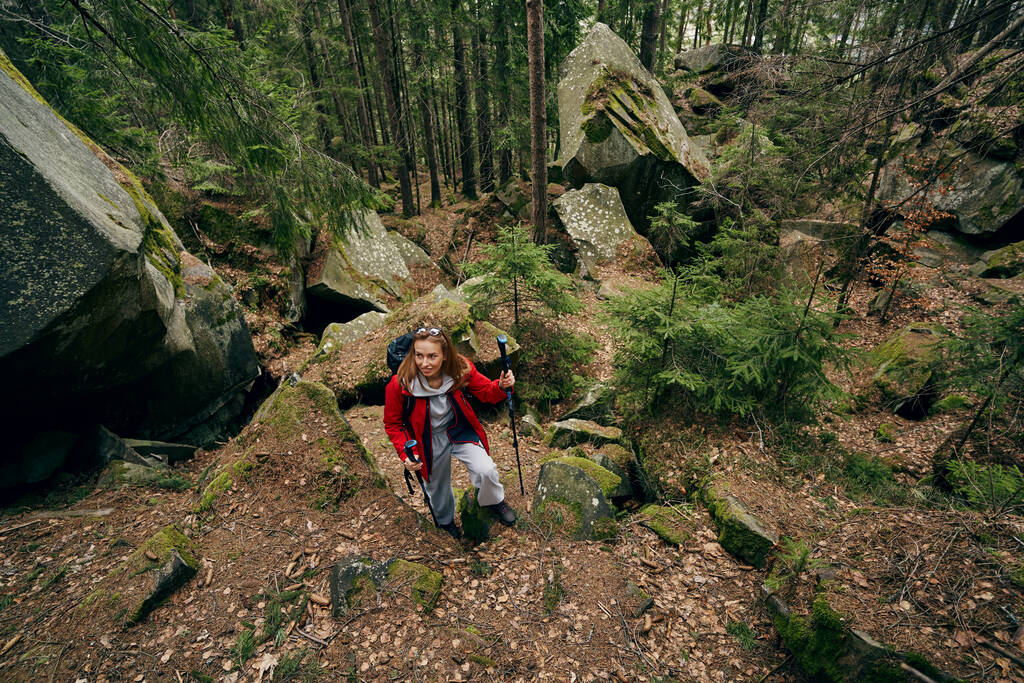 Női turista skandináv séta az erdőben botokkal - Fotó, kép