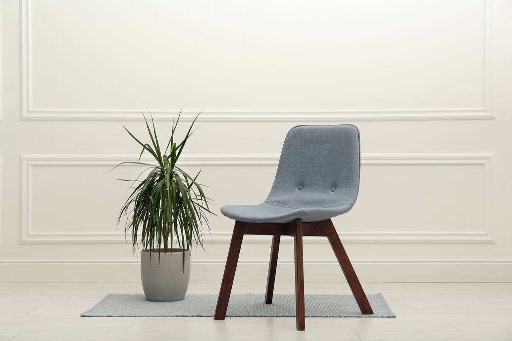 Cadeira cinza moderna e bela planta de casa perto da parede branca dentro de casa - Foto, Imagem