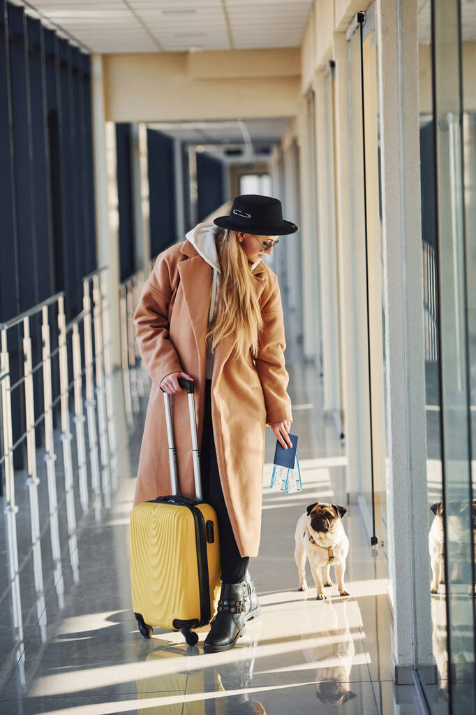 Νεαρή γυναίκα επιβάτης με ζεστά ρούχα με εισιτήρια, το σκυλί και τις αποσκευές της στην αίθουσα του αεροδρομίου. - Φωτογραφία, εικόνα