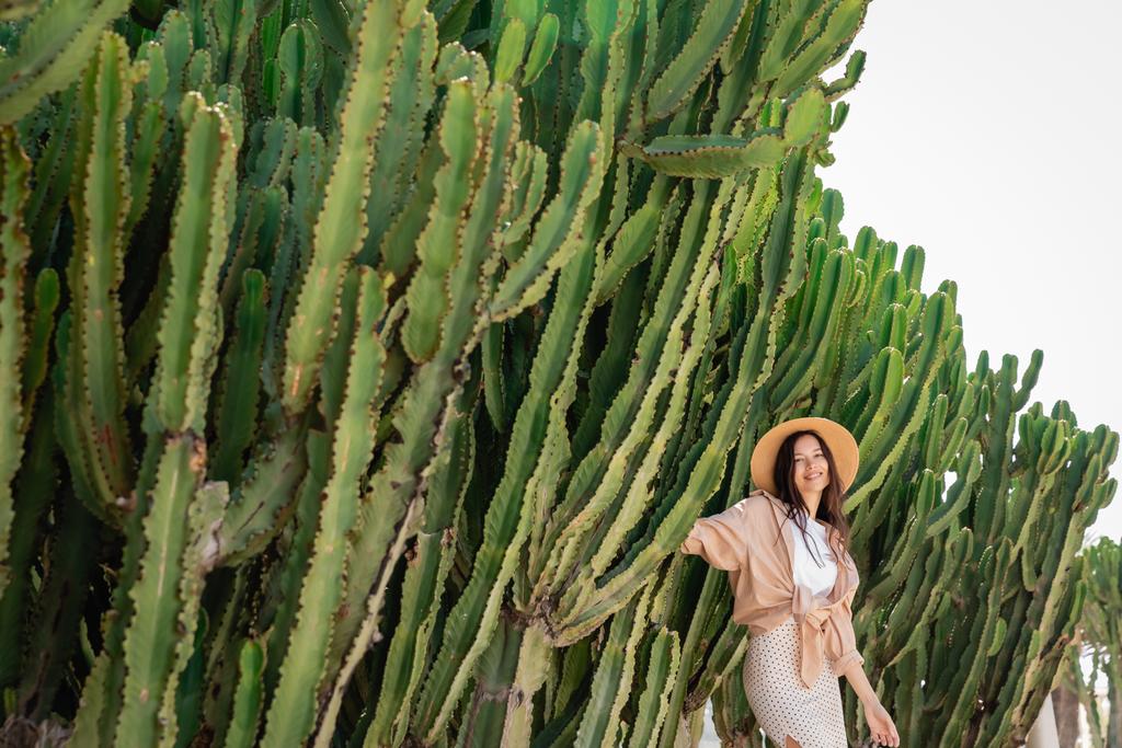 mujer alegre en ropa elegante y sombrero de paja en el parque con cactus gigantes - Foto, Imagen