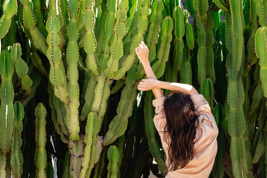 achteraanzicht van brunette vrouw in beige shirt stretching met opgeheven handen in de buurt van gigantische cactussen - Foto, afbeelding