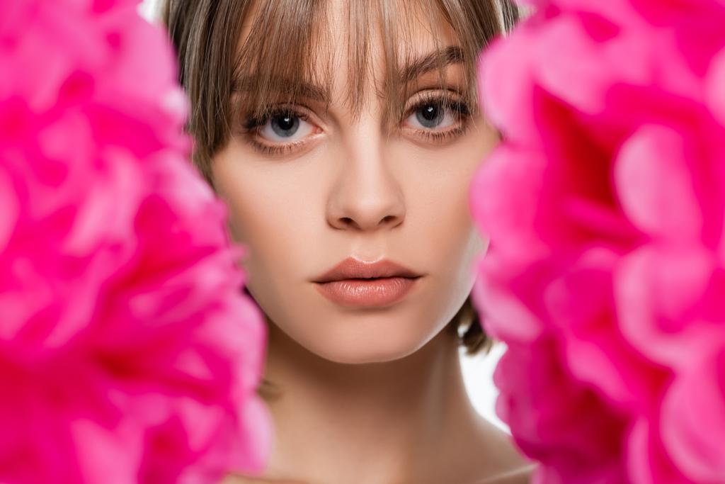 blondynka młoda kobieta z niebieskimi oczami patrząc w aparat przez niewyraźne różowe kwiaty odizolowane na białym - Zdjęcie, obraz