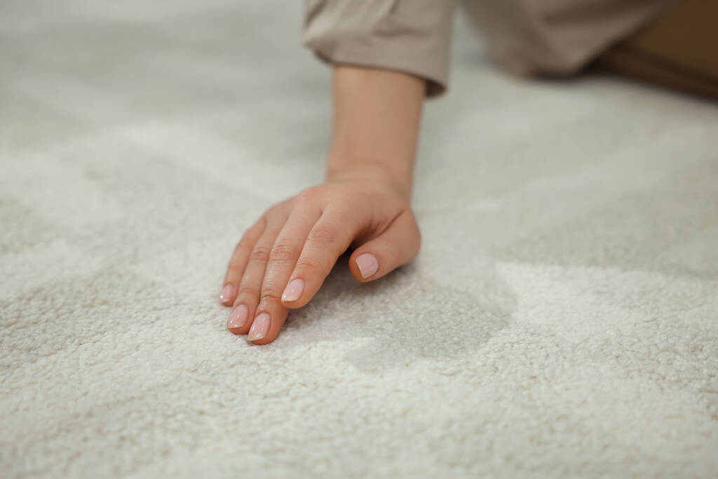 Woman touching soft white carpet, closeup view - Foto, Imagem