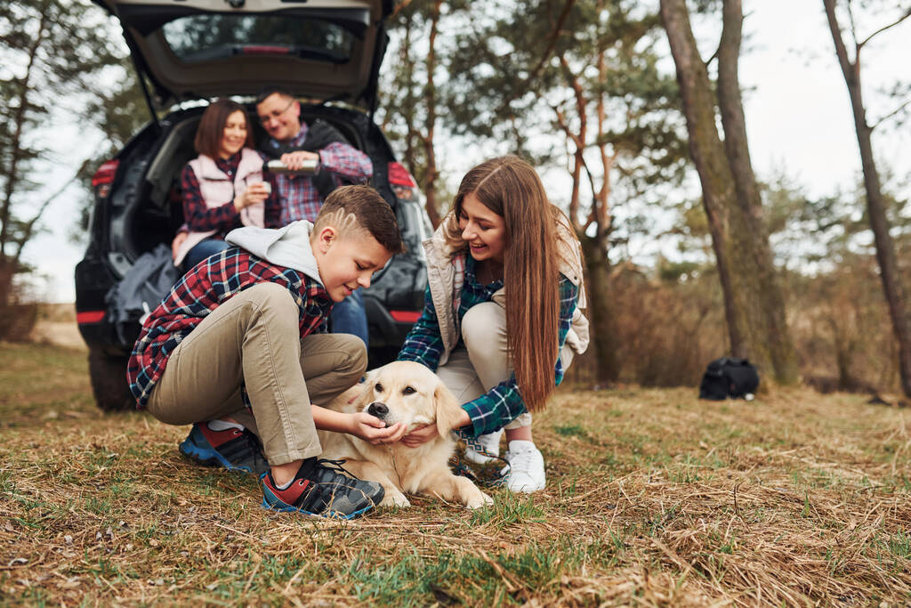 Ευτυχισμένη οικογένεια κάθεται και να διασκεδάζουν με το σκυλί τους κοντά στο σύγχρονο αυτοκίνητο σε εξωτερικούς χώρους στο δάσος. - Φωτογραφία, εικόνα