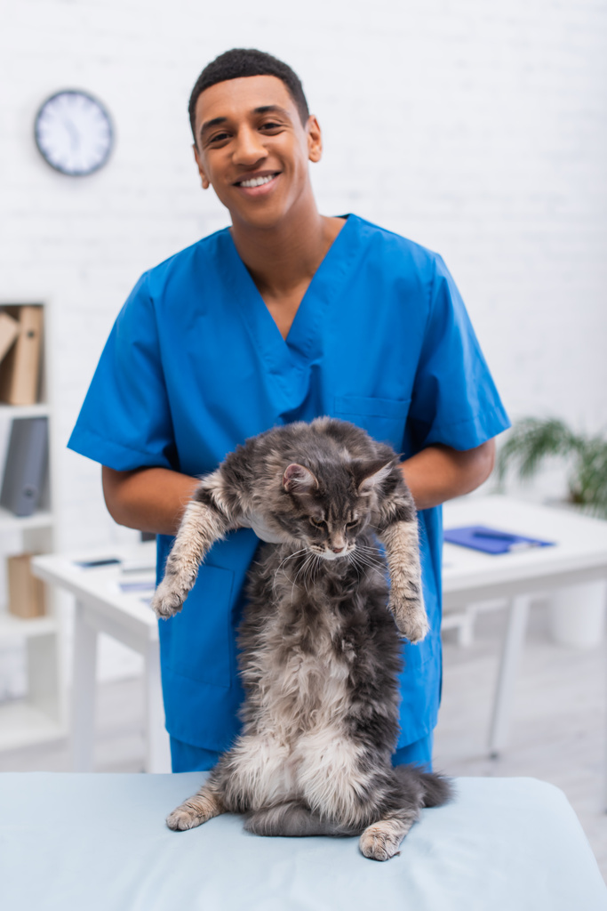 Vrolijke Afrikaanse Amerikaanse dierenarts arts met maine coon in kliniek  - Foto, afbeelding