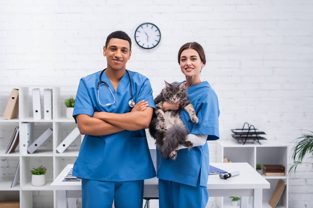 Θετικοί διαφυλετικοί κτηνίατροι που κρατούν τη γάτα maine coon και κοιτάζουν την κάμερα στην κλινική  - Φωτογραφία, εικόνα