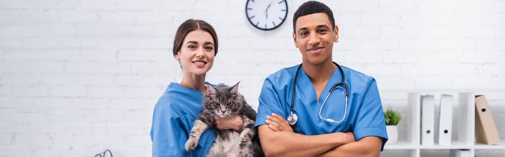 Cheerful interracial veterinarians with maine coon cat in clinic, banner  - Fotó, kép