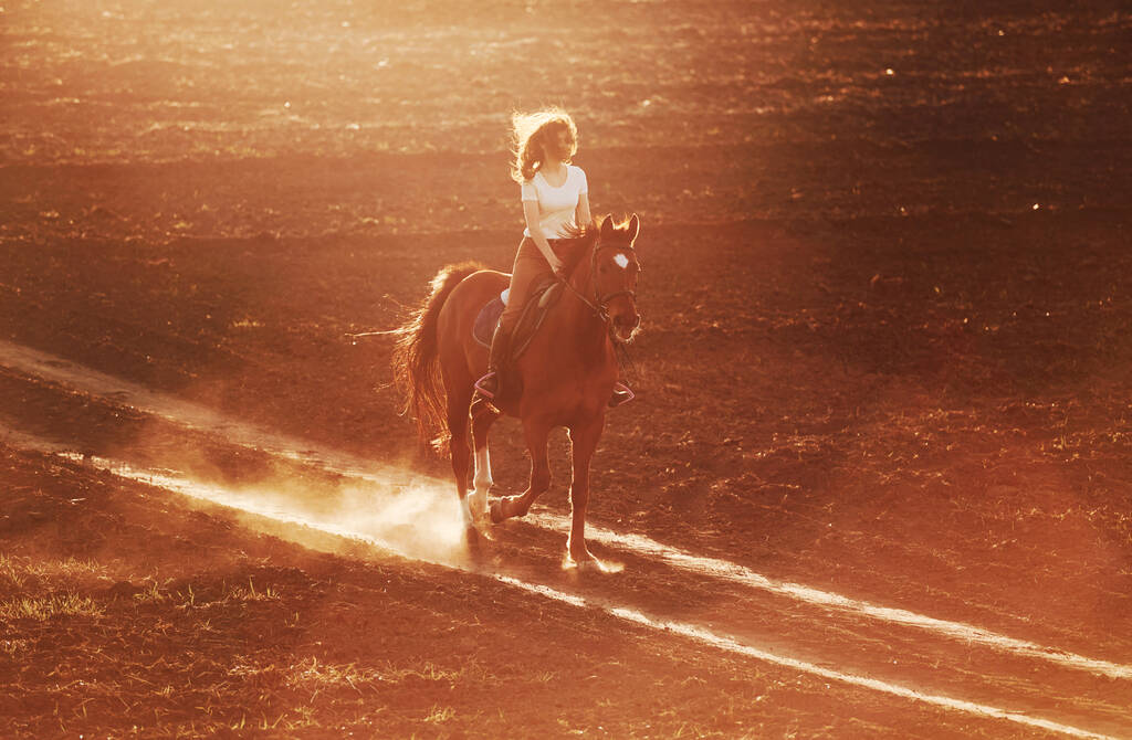 Young woman in protective hat riding her horse in agriculture field at sunny daytime. - Photo, image
