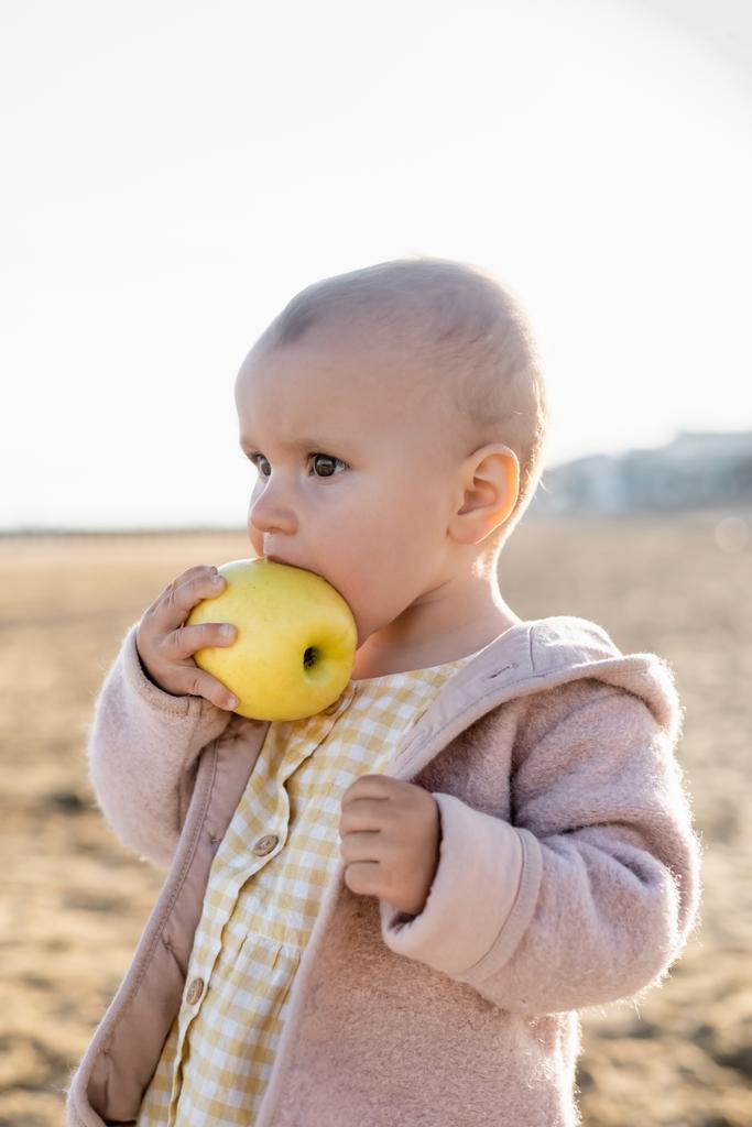 Νήπιο κορίτσι εκμετάλλευση ώριμο μήλο στην παραλία στο Τρεβίζο - Φωτογραφία, εικόνα