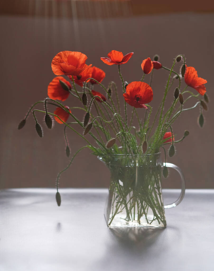 Bouquet of flowers. Red poppies are wild flowers. Glass teapot. - Photo, Image