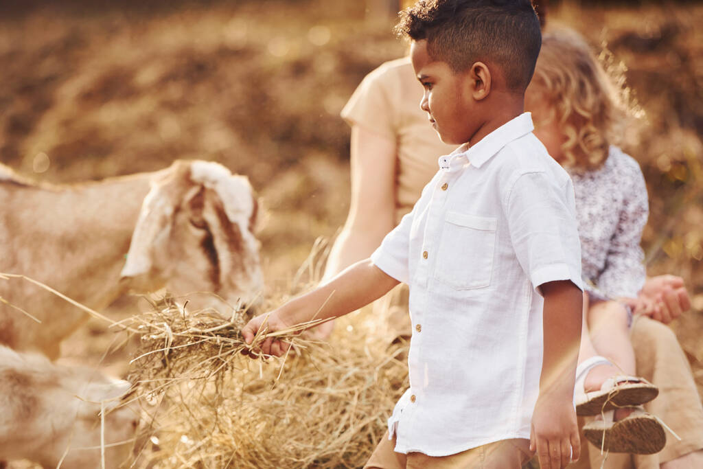 Mladá matka se svou dcerou je v létě na farmě s kozami. - Fotografie, Obrázek