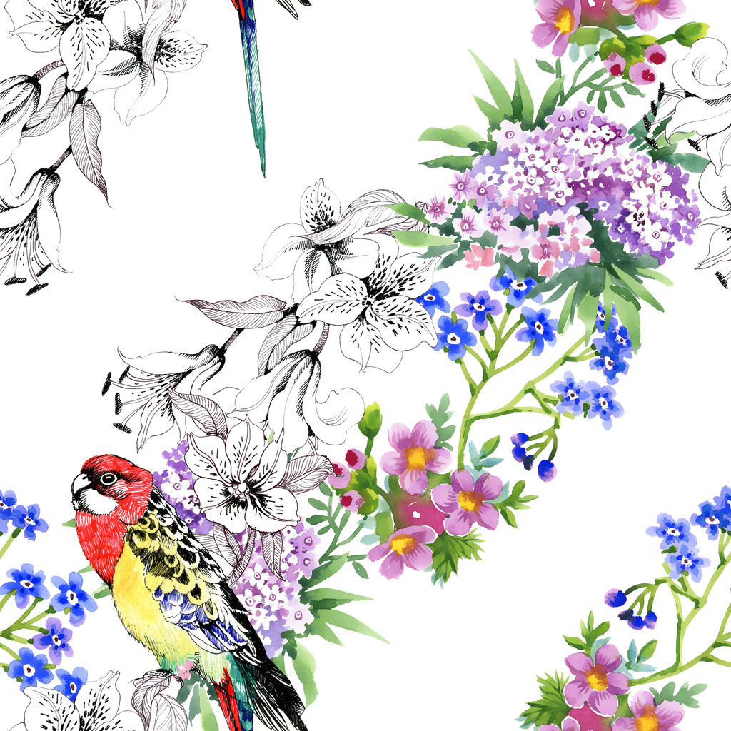 Kolorowe papugi i kwiaty - Zdjęcie, obraz